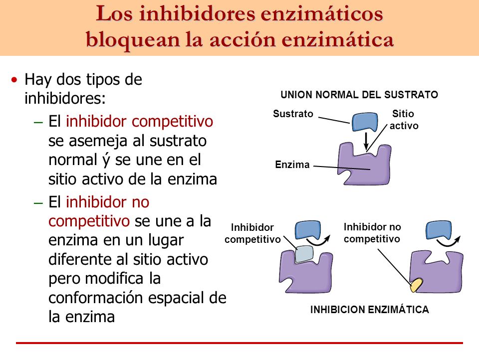 inhibidores enzimaticos
